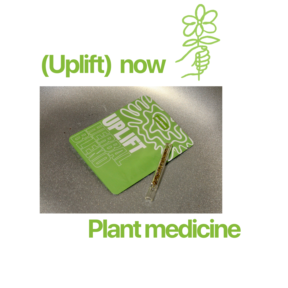 Herblunt uplift herbal blend and a small plant on a gray surface, branded 'Uplift Now'.