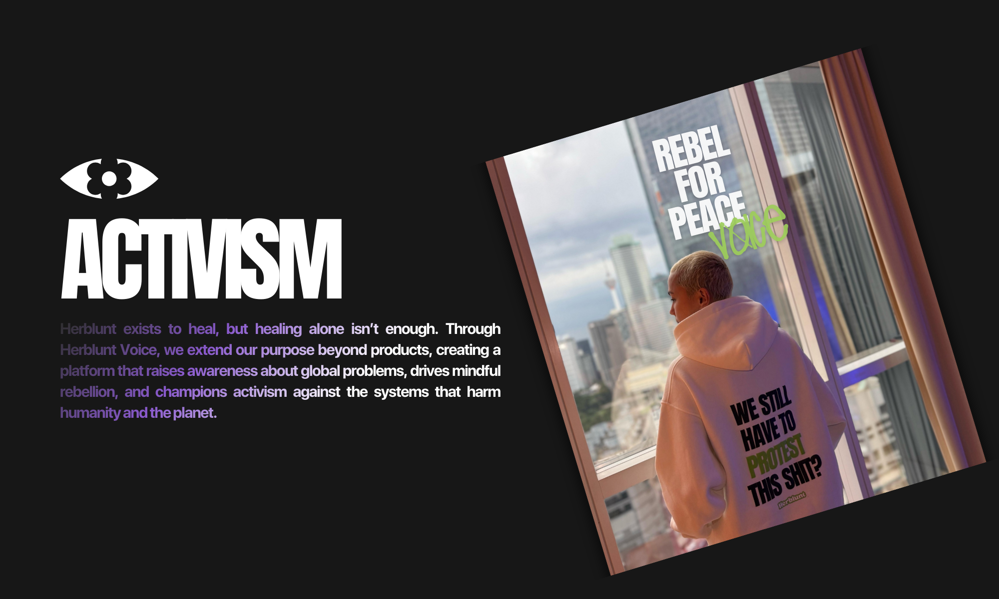 Book cover with a Debbie wearing a herblunt hoodie looking out a window and text 'Rebel for Peace' on a black background with 'ACTIVISM' text.